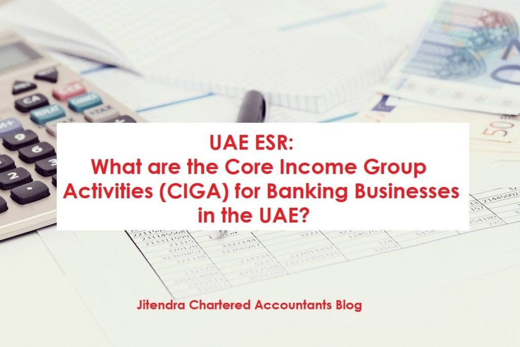 What are the core income group activities for Banking Businesses in the UAE?